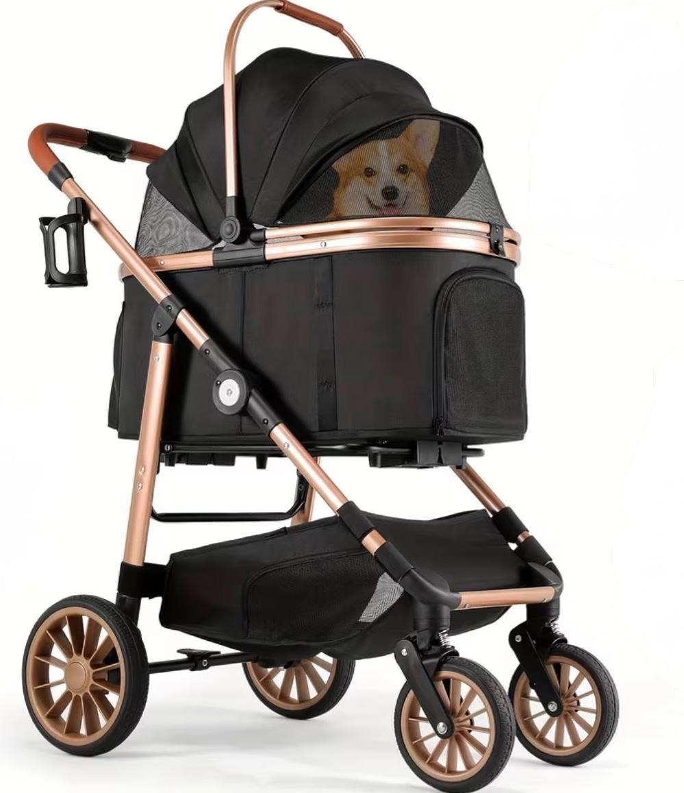 Paseo Premium